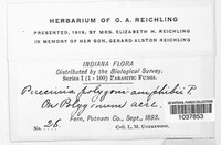Image Associated With the Occurence